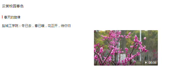 足球世俱杯竞猜